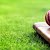 Cricket and Spirituality: Exploring Rituals in the Game